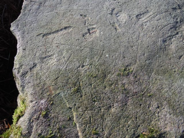 Incised stone Drumnod hut circle