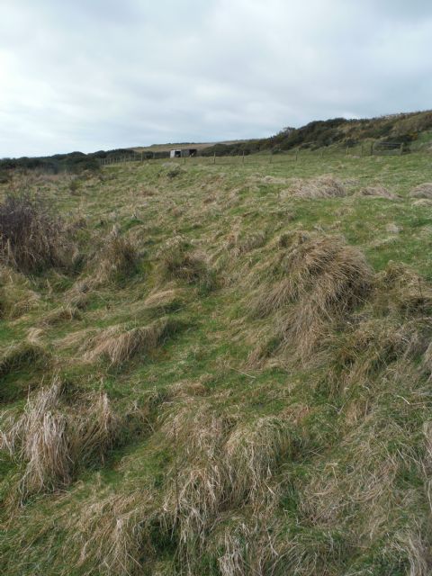 Caiplie enclosure 