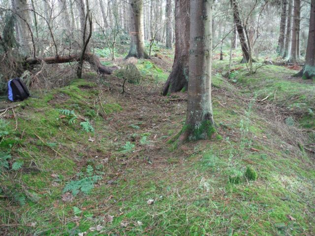 Edenwood Roman rampart and ditch