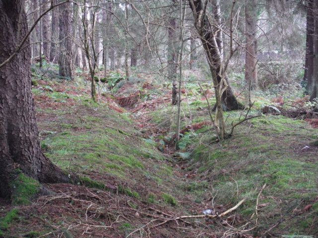 Edenwood Roman rampart and ditch